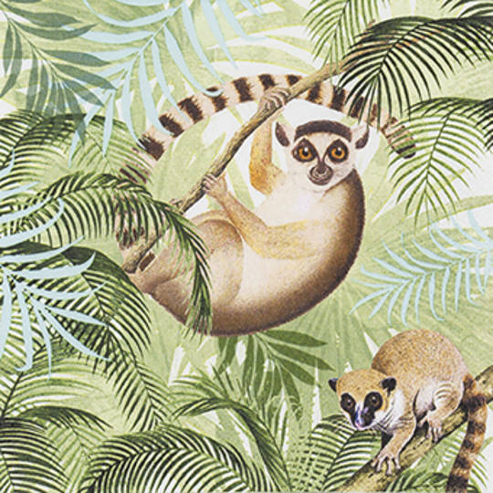 Paper Napkins 33cm, Lemurs